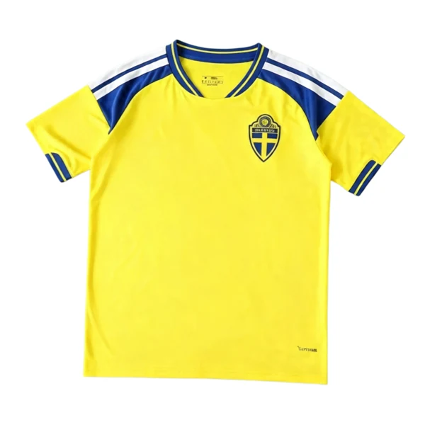 2026 FIFA World Cup Sweden home Fan version