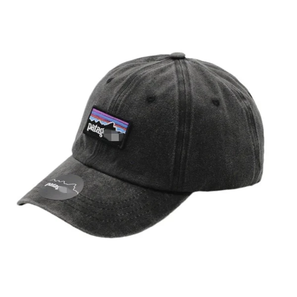 Patagonia Hat