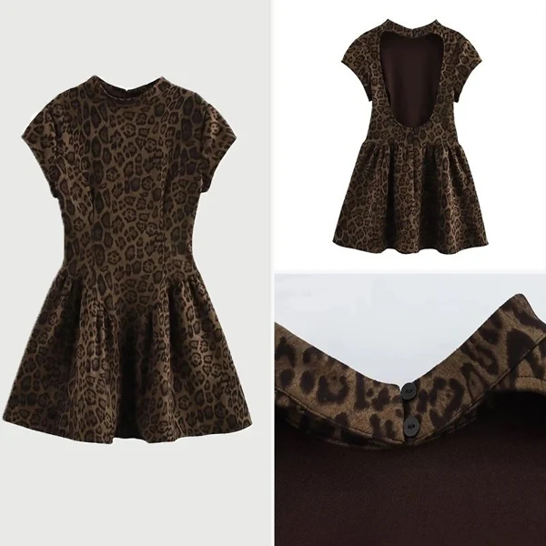 Zara Dress
