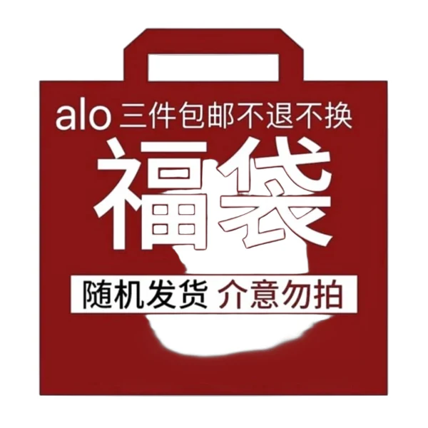 Alo Hoodie