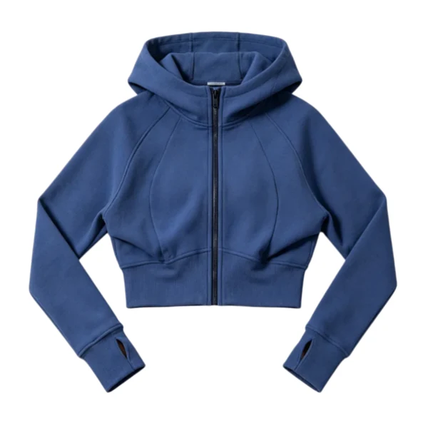Alo Hoodie